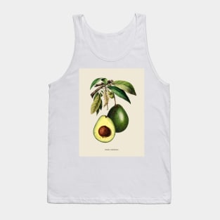 Avocado Antique Botanical Illustration Tank Top